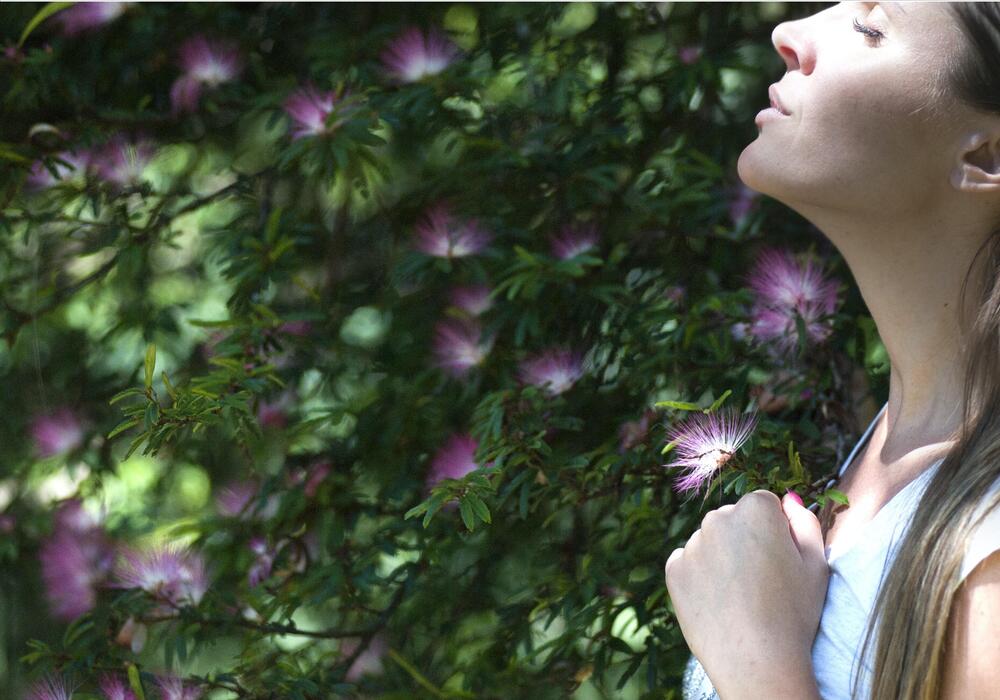 Smettere di fumare fiori di Bach